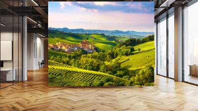 Langhe vineyards panorama, Barolo village, Piedmont, Italy Europe. Wall mural