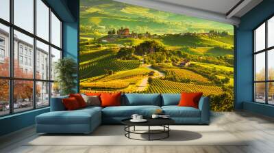 Langhe vineyards sunset panorama, Grinzane Covour, Piedmont, Italy Europe. Wall mural