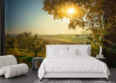 Maremma countryside panorama and olive trees on sunset. Casale Marittimo, Pisa, Tuscany Italy Wall mural