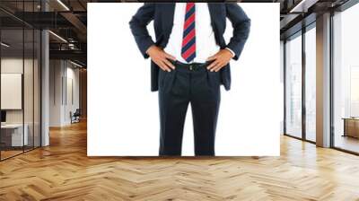 Businessman hands on hips Wall mural