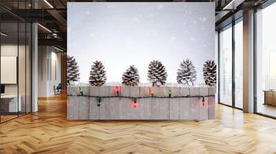 Fence With Pine Cones Wall mural