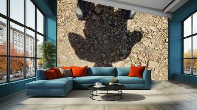 Ombra Wall mural