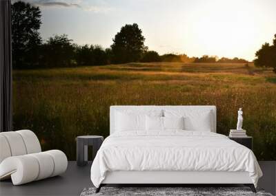 Golden Field Wall mural