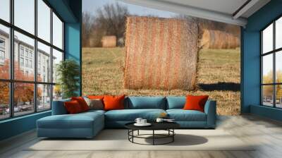 Hay Bale in a Farm Field Wall mural