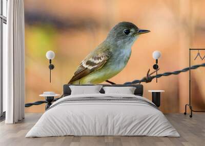 Eastern Wood-Pewee on a Barbed-Wire Fence Wall mural