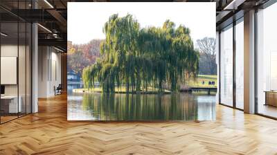 Trees in a park with its reflection in the lake Wall mural