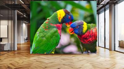 two rainbow lorikeets on a branch Wall mural