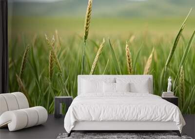 Close-up of wheat stalks in a lush green field with mountains in the background, capturing the beauty of nature and agriculture. Wall mural