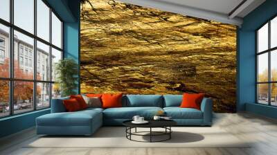 Gold rock texture background Wall mural