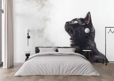 A black cat gazes intently at a steaming cauldron, creating a mystical and intriguing atmosphere. Wall mural