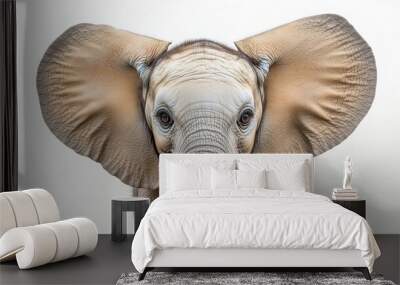 Close-up of a young African elephant with large ears and textured skin against a white background. Wall mural