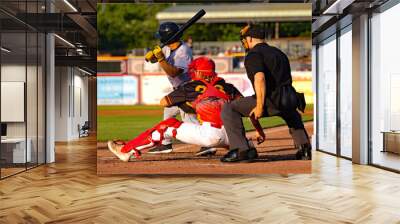 baseball hitter catcher and umpire Wall mural