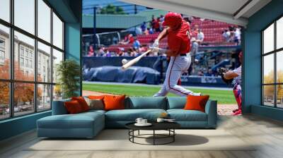 baseball player hitting Wall mural