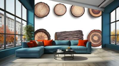 Illustration of timber wood log age circles Wall mural