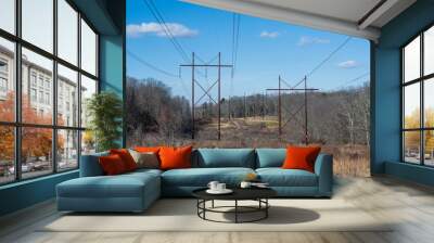 power lines in the field Wall mural