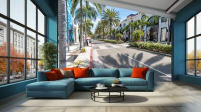 Rodeo Drive Wall mural