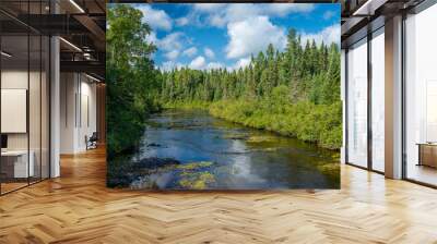 temperance river, superior national forest, mn Wall mural