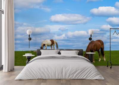 two horses grazing Wall mural