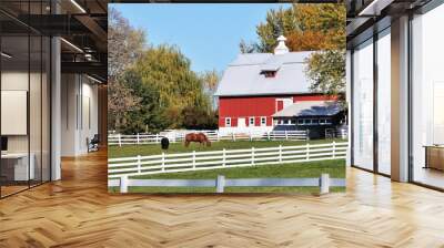 fall horse farm Wall mural