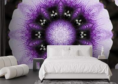 Kaleidoscope Petunia Wall mural