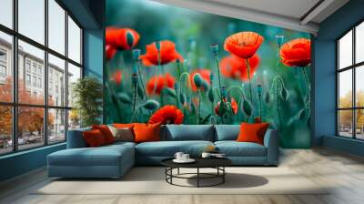 photography of beautiful red poppy blooms in a field  field on a misty morning landscape. Wall mural