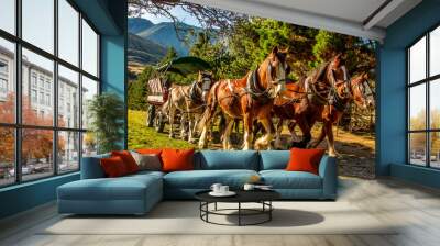 The Horse drawn carriages at Erewhon Clydesdale horse stud and working farm near the headwaters of the Rangitata Gorge Wall mural