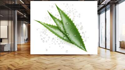 Aloe vera fresh leaf, closeup. Treatment plant Essence from aloe vera plant drips from stems isolated on a Transparent background. Generative AI Wall mural