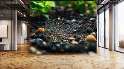 Close-up of soil background, top view, high-resolution photography Wall mural