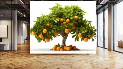 Orange tree with green leaves and ripe orange fruits on white background Wall mural