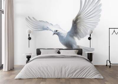 Flying dove isolated on white background. Generative AI. Wall mural