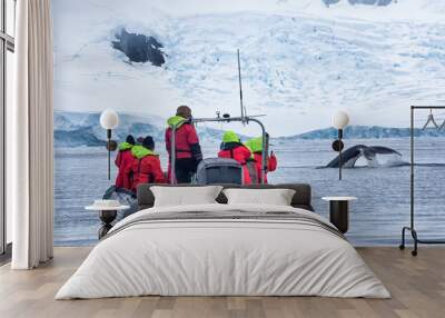 Wgale watching i Antarctica Wall mural