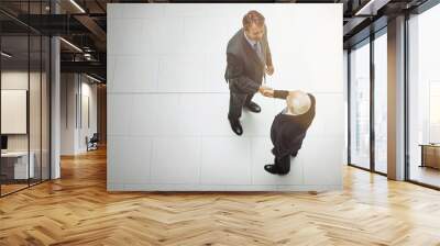 Its great to finally meet you. High angle shot of two businessmen shaking hands in the office lobby. Wall mural