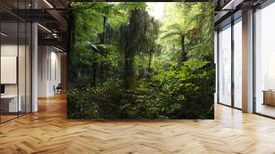 Dense tropical jungle forest Wall mural