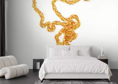 Dollar symbol necklace isolated Wall mural