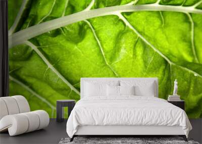 Leaf Wall mural