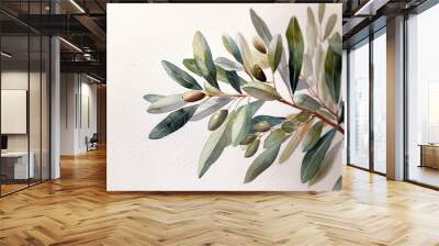 Watercolor paint olive leaves branch isolated on white paper background. Wall mural