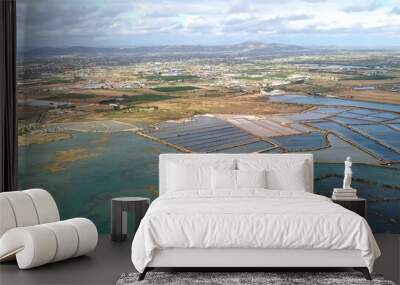 Aerial view of salt pans at the beautiful Algarve coast in Portugal seen on a flight to Faro airport Wall mural