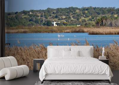 Flamingos at Beautiful lagoon Lagoa dos Salgados near Albufeira in Portugal Wall mural