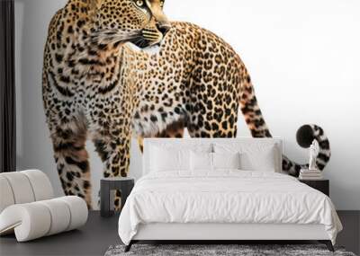 Leopard isolated on white, transparent background, PNG, generative ai Wall mural