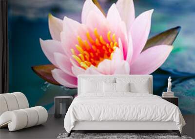 beautiful pink waterlily or lotus flower in pond Wall mural