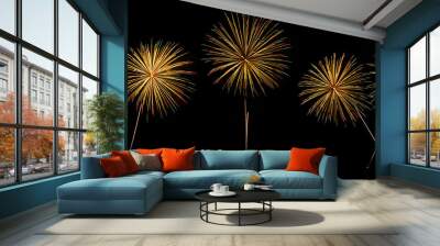 Set of Isolate yellow green and red colored fireworks on black background Wall mural