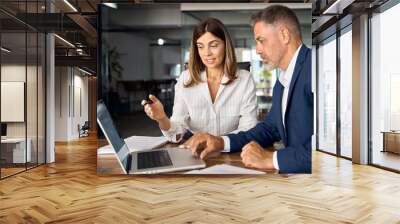 Mature 50s age Latin business man mentoring mid age European business woman discussing project on laptop in office. Two colleagues, group of partners, professional business people working together. Wall mural