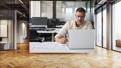 Middle-age Hispanic man using laptop computer for business studying, watch online virtual webinar training meeting, video call. Focused mature Indian or Latin businessman work in office, copy space. Wall mural