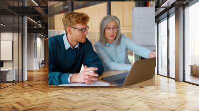 Senior grey-haired mature female teacher, executive or mentor helping young man student, new employee, teaching intern, explaining online job using laptop computer, talking, having teamwork in office. Wall mural