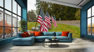 flags in the field, cemetery graves of fallen fir fighters, selective focus copy space image. Wall mural