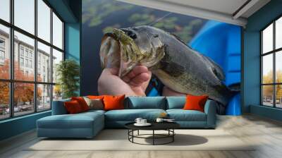 Holding nice summer catch, bass fishing in fresh water lake Wall mural