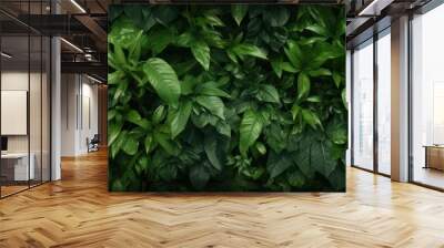 lush green foliage texture, showcasing detailed leaves and vibrant colors Wall mural