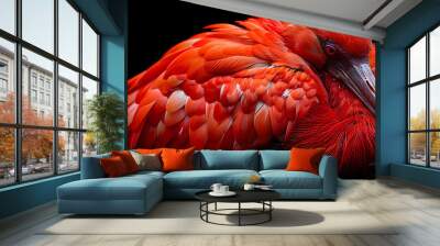 adult male Scarlet Ibis Eudocimus ruber with bright red plumage found in Venezuela South America Wall mural