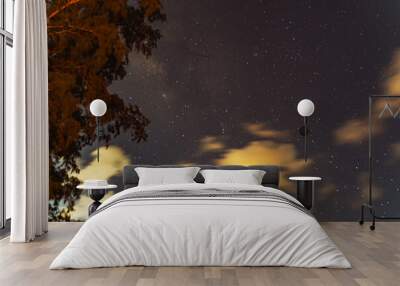 Blue dark night sky with many stars  trees.Phuket Thailand. Milkyway cosmos background. Wall mural