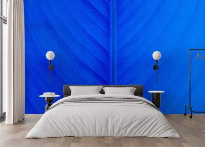 Blue leaves texture background nature tone at phuket Thailand Wall mural